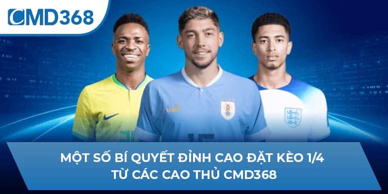 Một số bí quyết đỉnh cao đặt kèo 1/4 từ các cao thủ CMD368